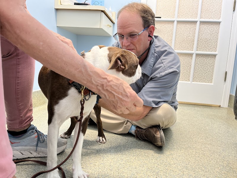 La Plaza Veterinary Clinic photo 3