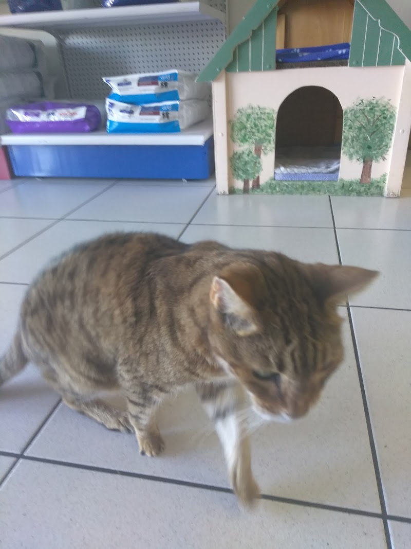 My Pet Animal Hospital Inc photo 3