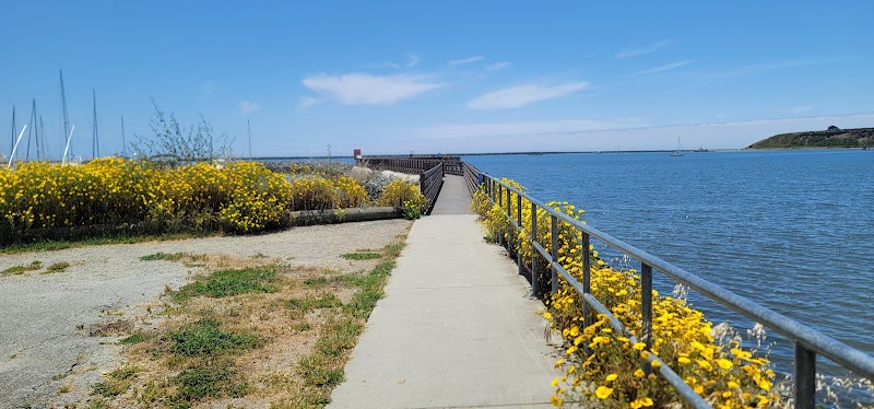 Parking | Pillar Point Harbor photo 5