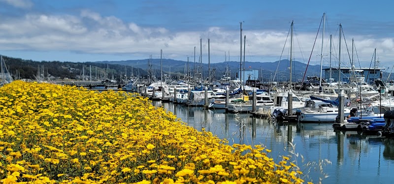 Photo of Parking | Pillar Point Harbor