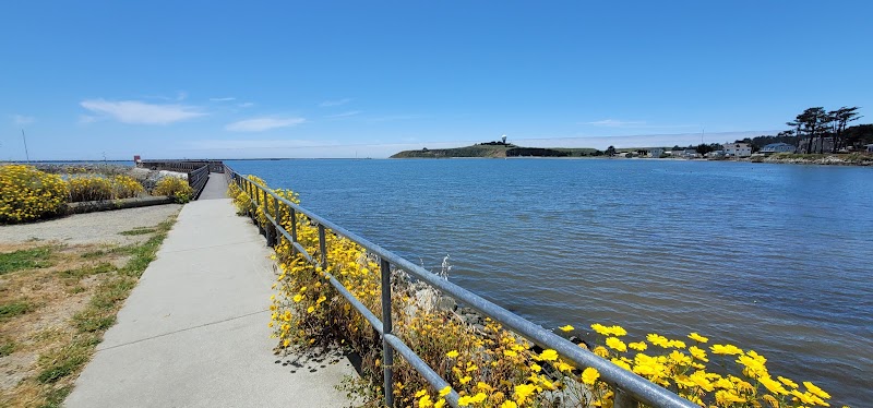 Parking | Pillar Point Harbor photo 2
