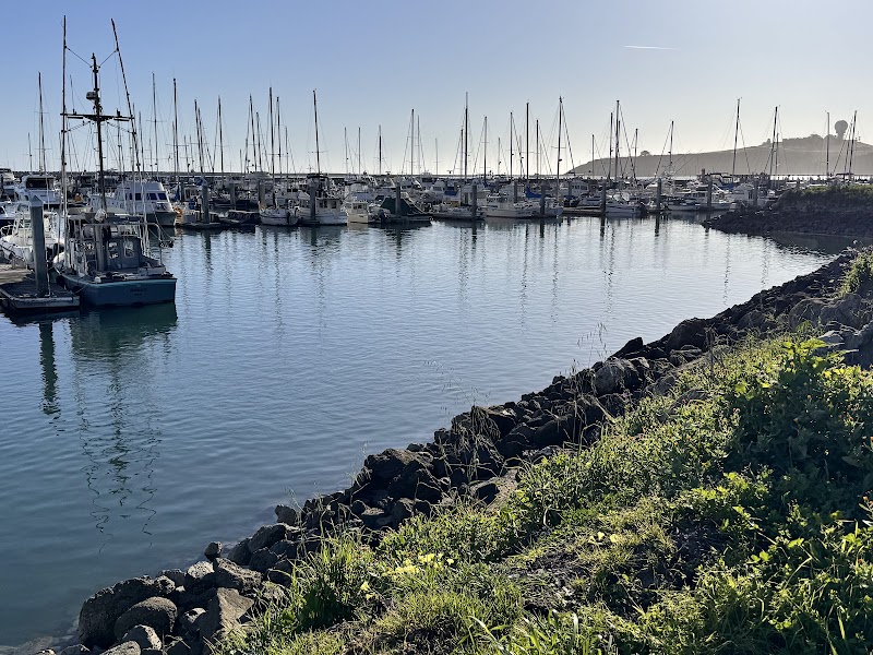 Parking | Pillar Point Harbor photo 4