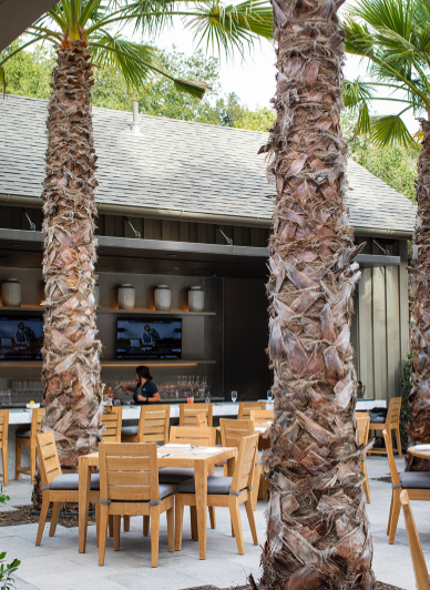 Photo of The Terrace Café at Meadowood Napa Valley. Seasonally open to Meadowood Guests and Meadowood Club Members