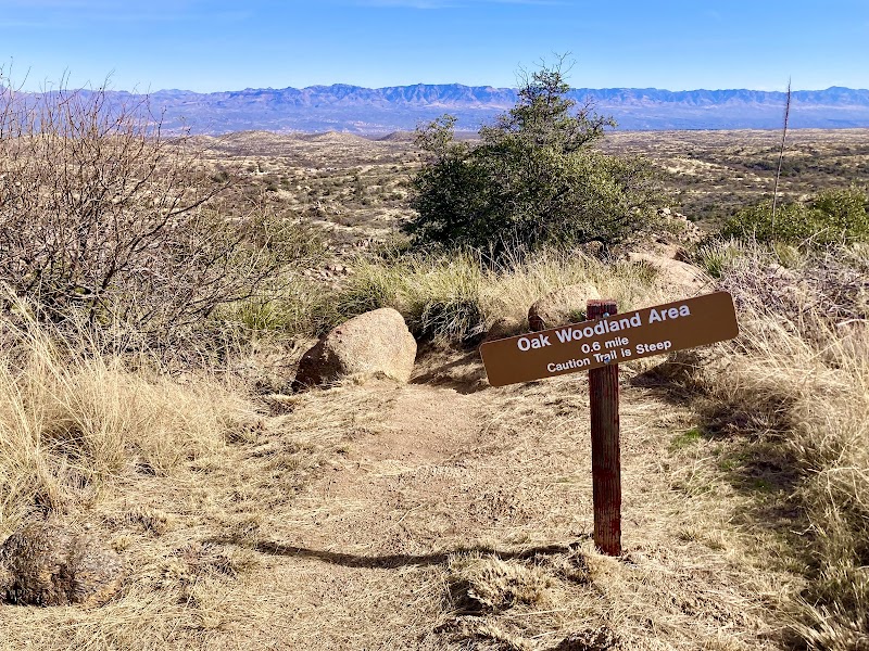 Oracle State Park photo 3