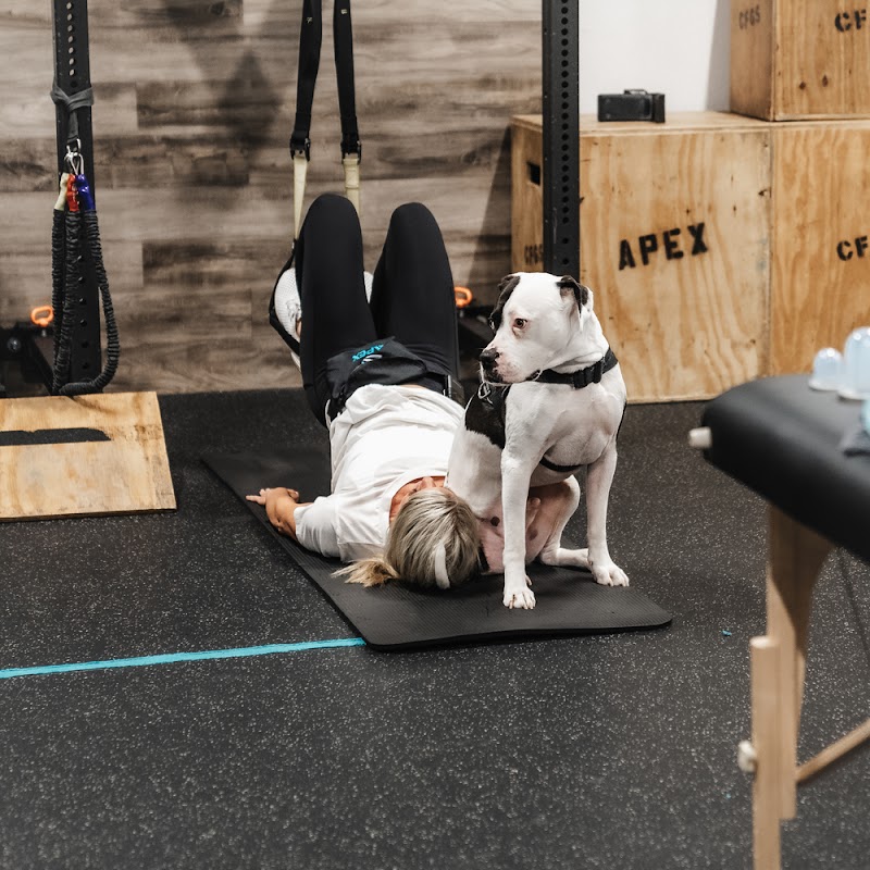 Apex Physical Therapy photo 4