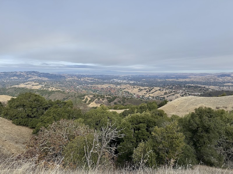 Photo of Walnut Creek Water Tower