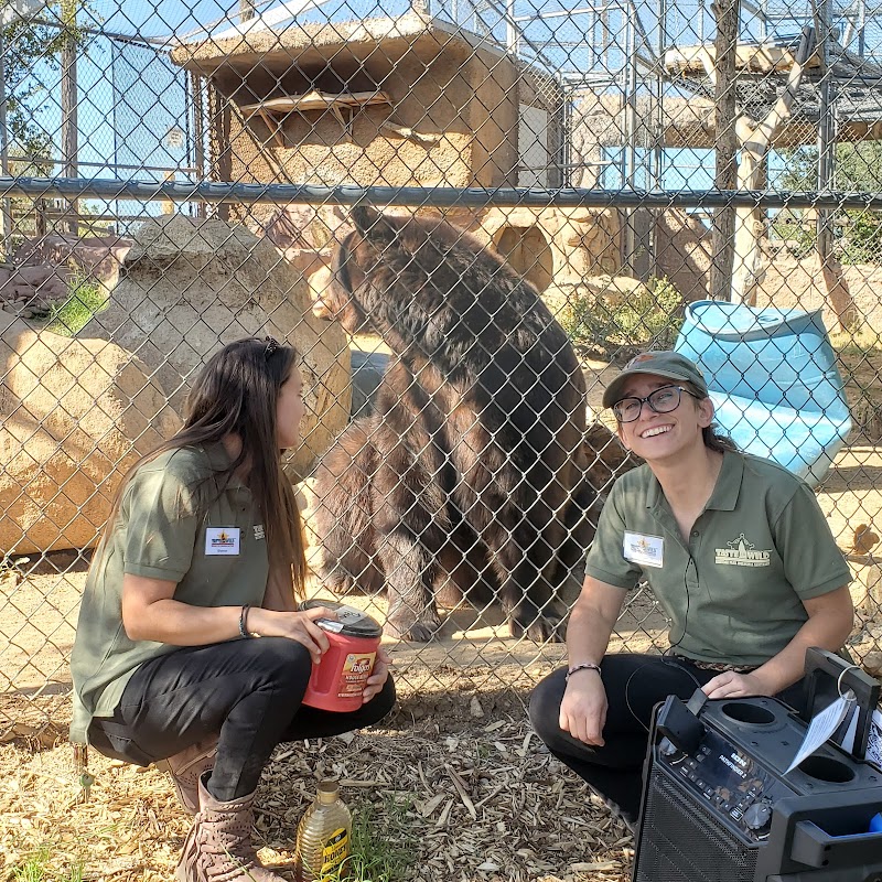 Heritage Park Zoological Sanctuary photo 3