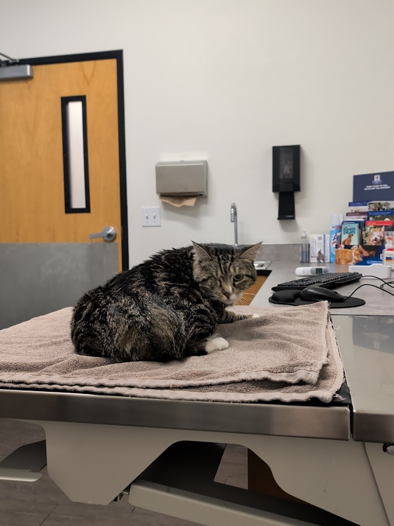 PetSmart Veterinary Services - San Carlos photo 5