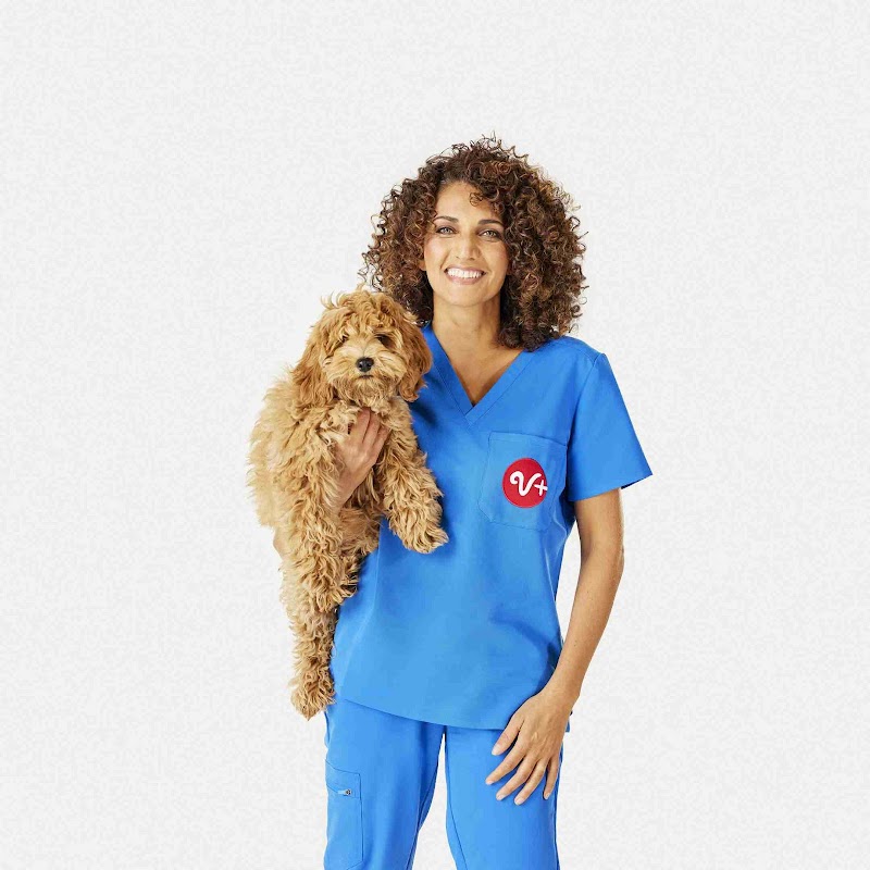 PetSmart Veterinary Services - San Carlos photo 3
