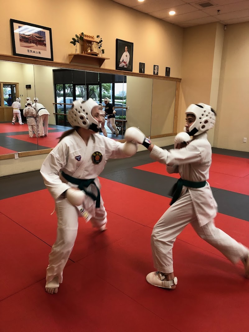 Ramtown Karate photo 5