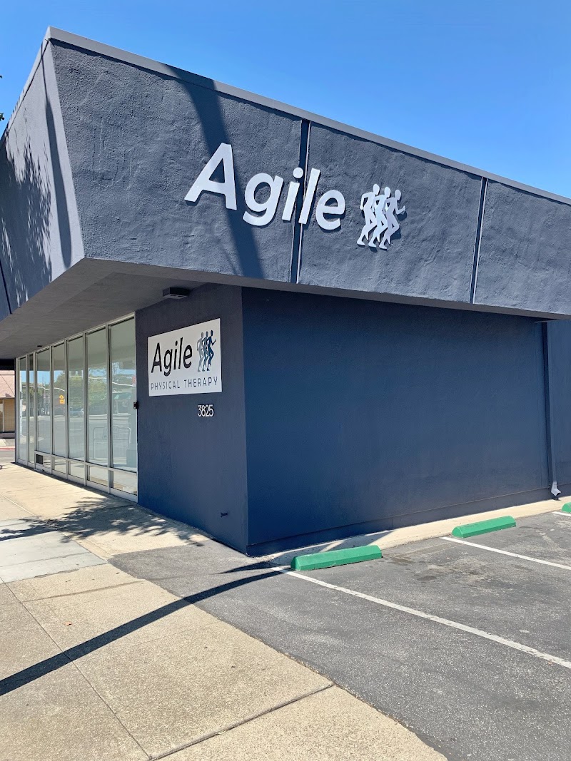 Agile Physical Therapy photo 5