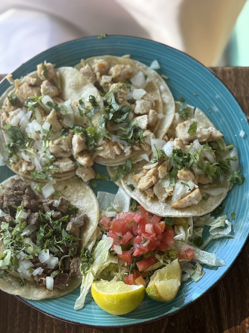 Vinny's Taqueria photo 3