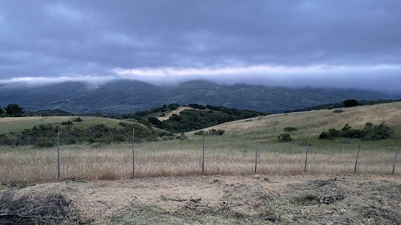 Top Of The World photo 4