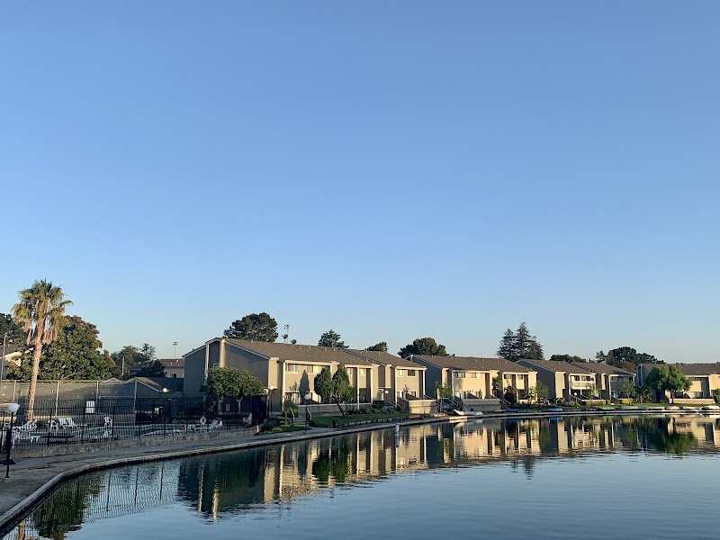 Isle Cove Homeowners Association photo 4