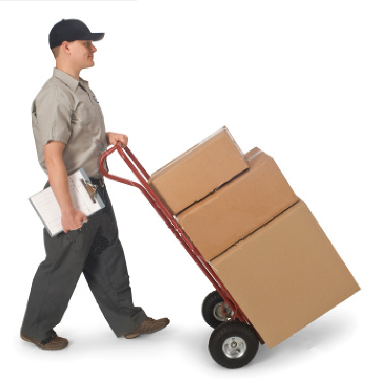 MARIN MOVERS photo 4