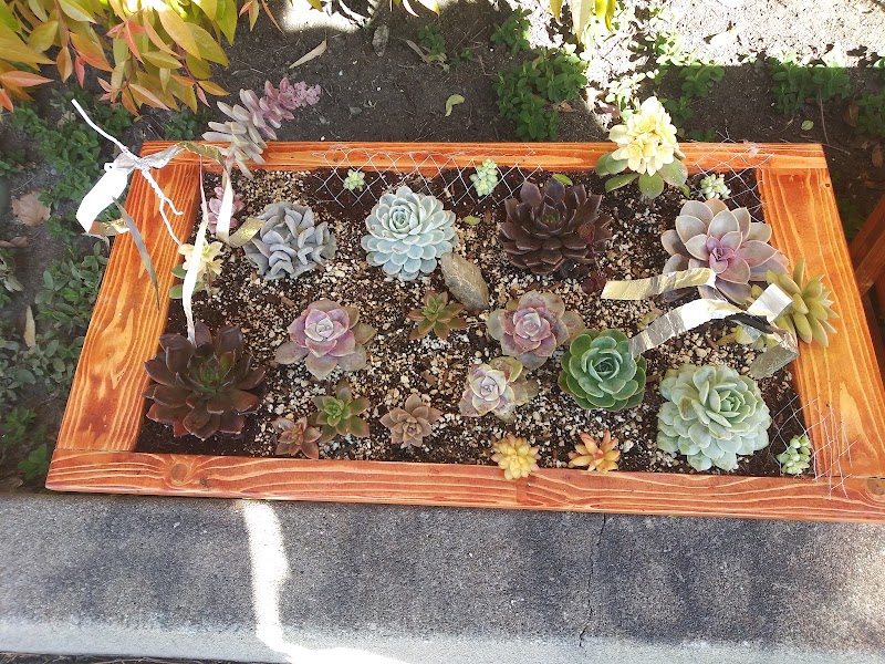 Photo of Garden Center