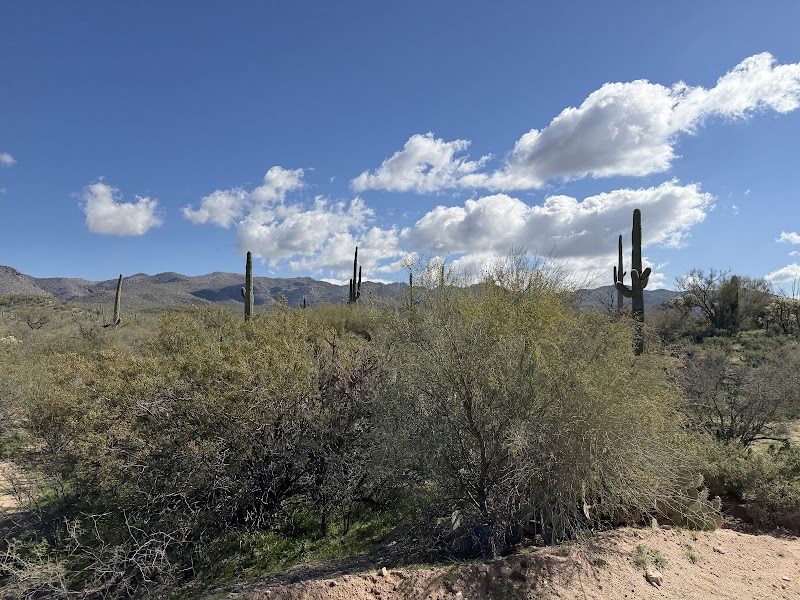 Photo of Deer Forks Ranch AZ