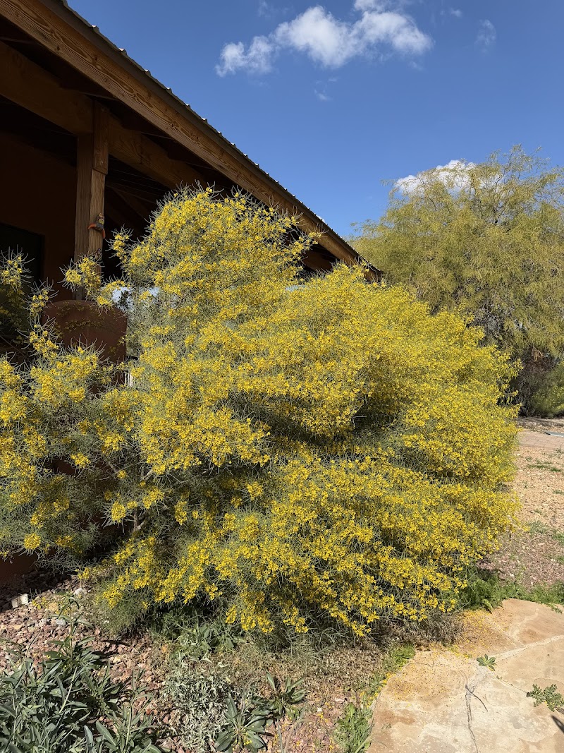 Deer Forks Ranch AZ photo 5