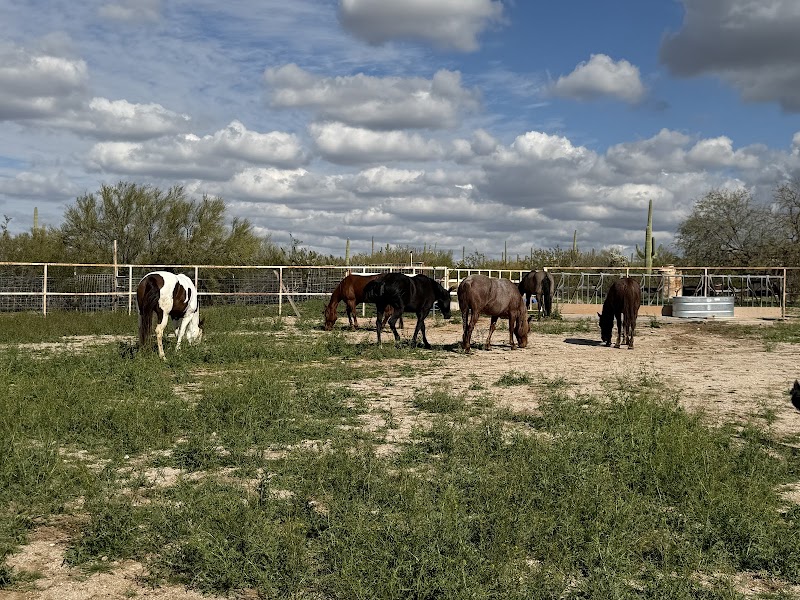 Deer Forks Ranch AZ photo 3