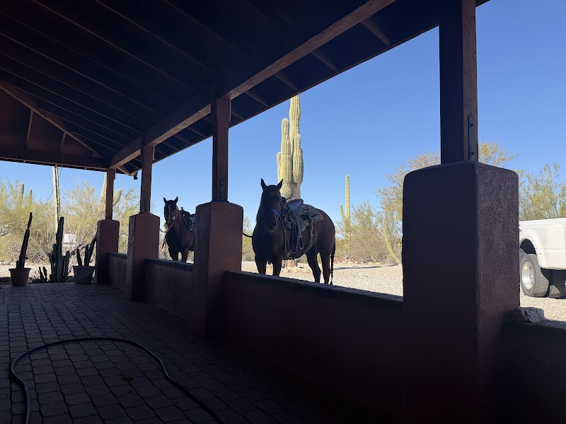 Deer Forks Ranch AZ photo 4