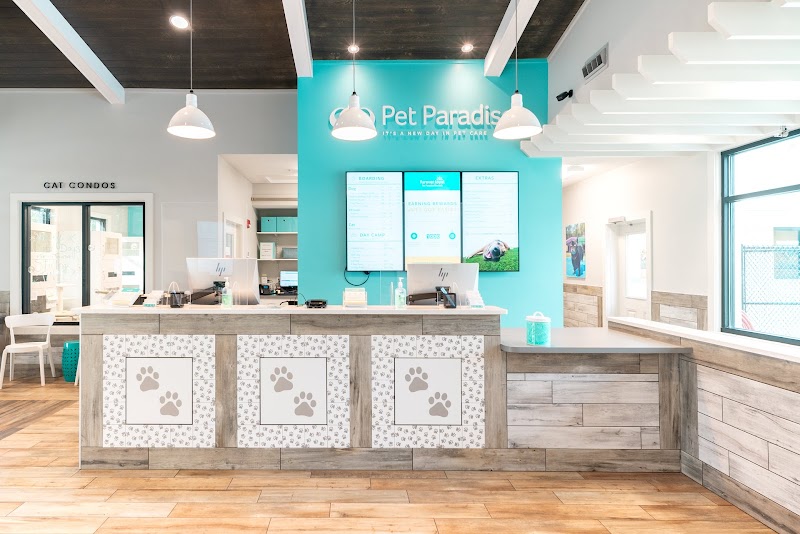 Pet Paradise Odessa photo 4