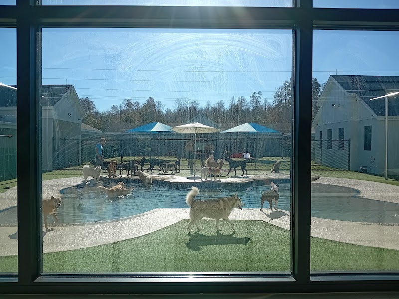 Pet Paradise Odessa photo 2