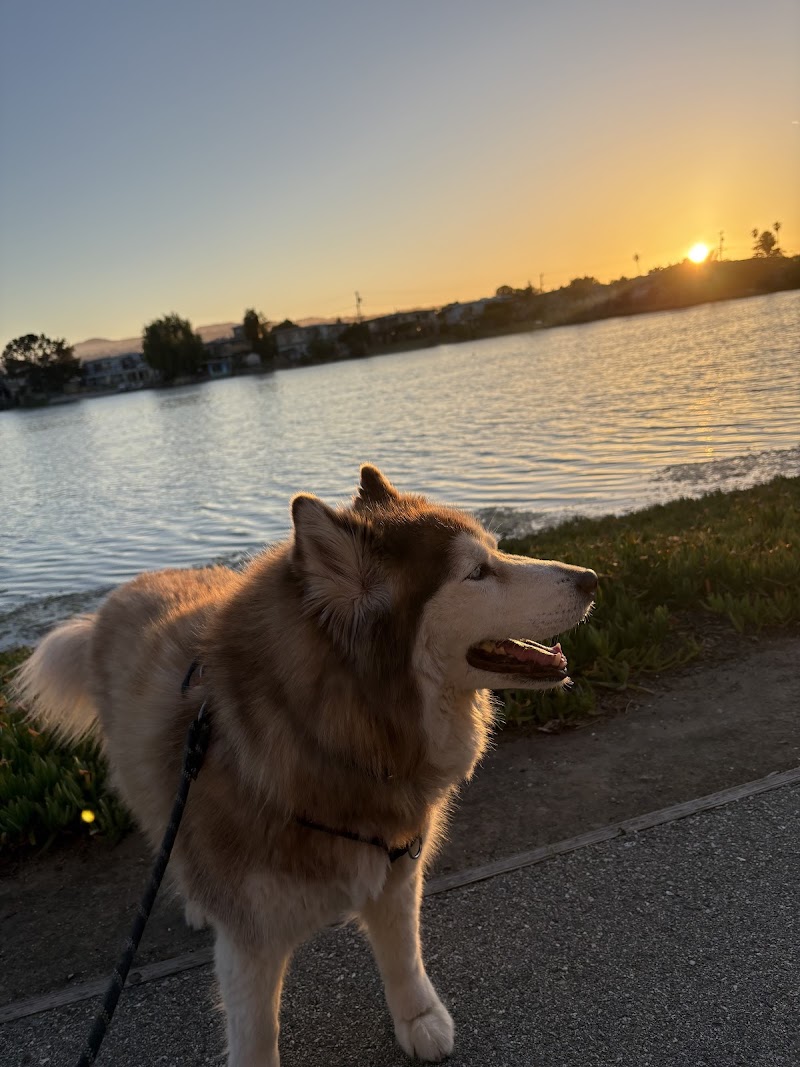 Pets on Vacay photo 5