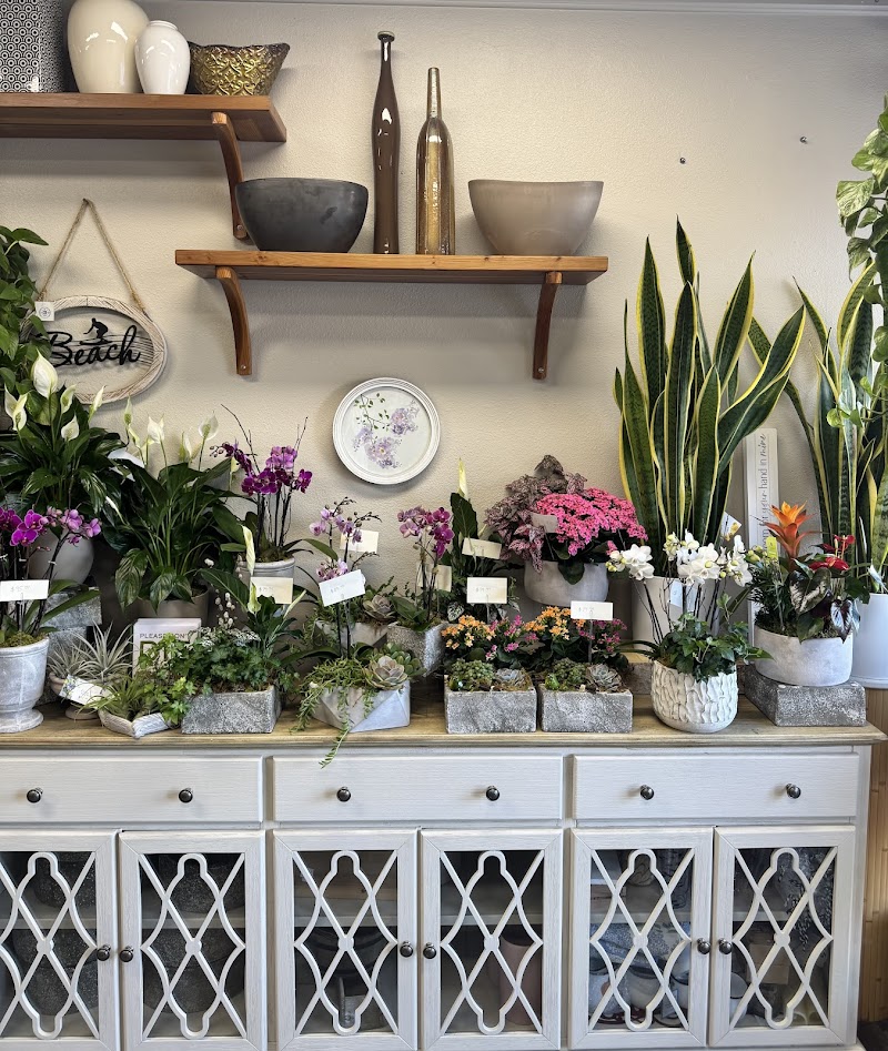 Del Mar Floral & Gifts photo 5
