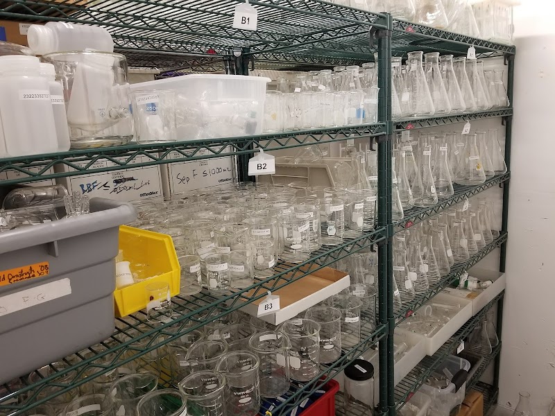Photo of Biotech Bargains