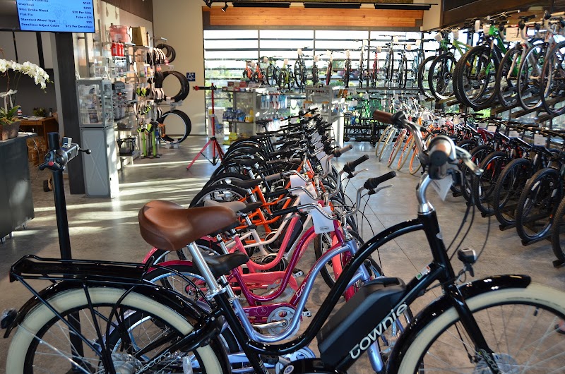 Trek Bicycle Napa photo 2