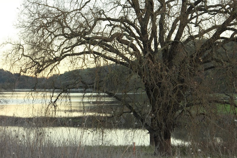 Little Uvas Open Space Preserve photo 4