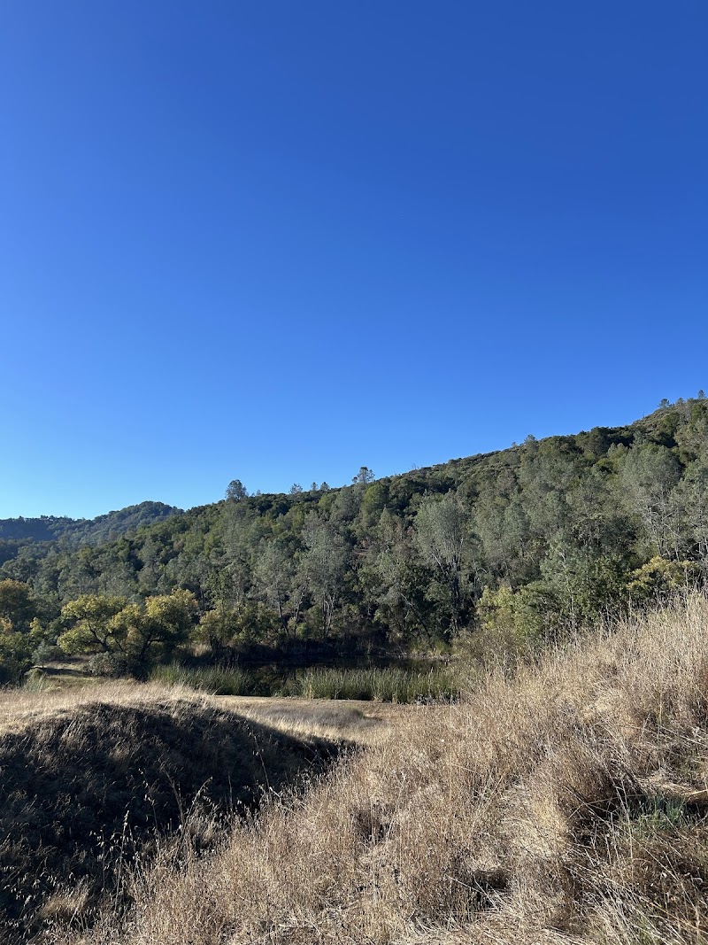Little Uvas Open Space Preserve photo 2