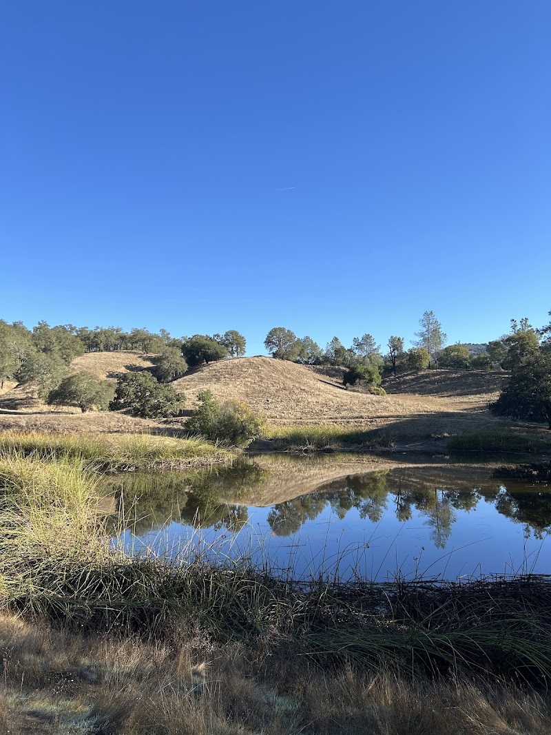 Little Uvas Open Space Preserve photo 5