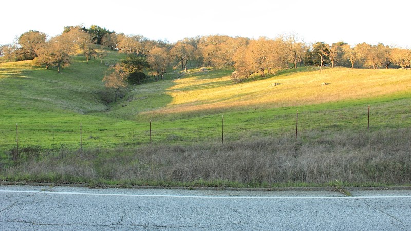 Little Uvas Open Space Preserve photo 3