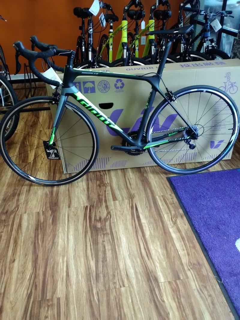 BikeSport photo 4
