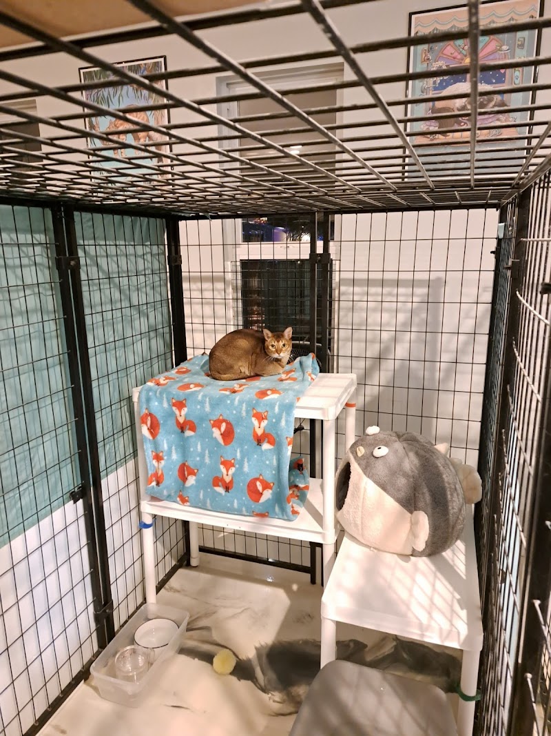 Photo of Cozy Cat Inn
