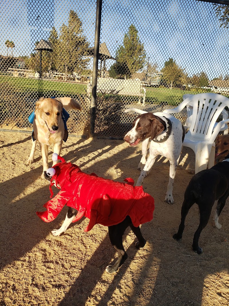 Lawler Ranch Park photo 5