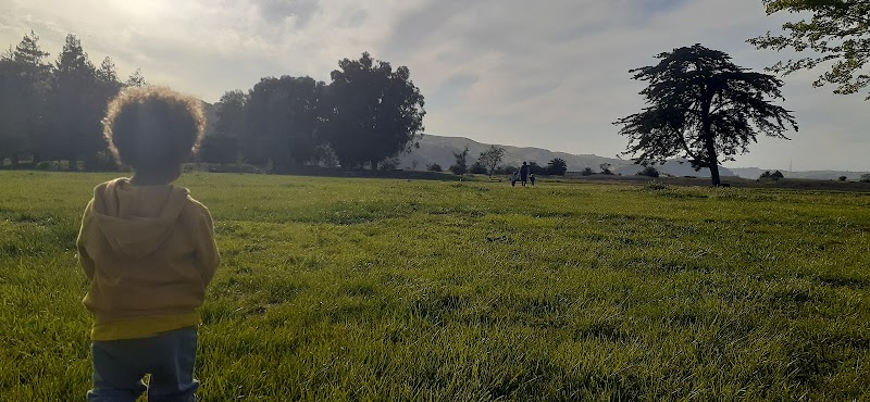 Photo of Parking Lot