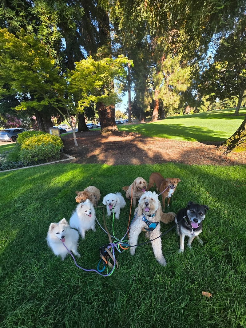 The Gentleman's Paw photo 5