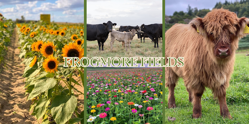 Photo of Frogmore Fields