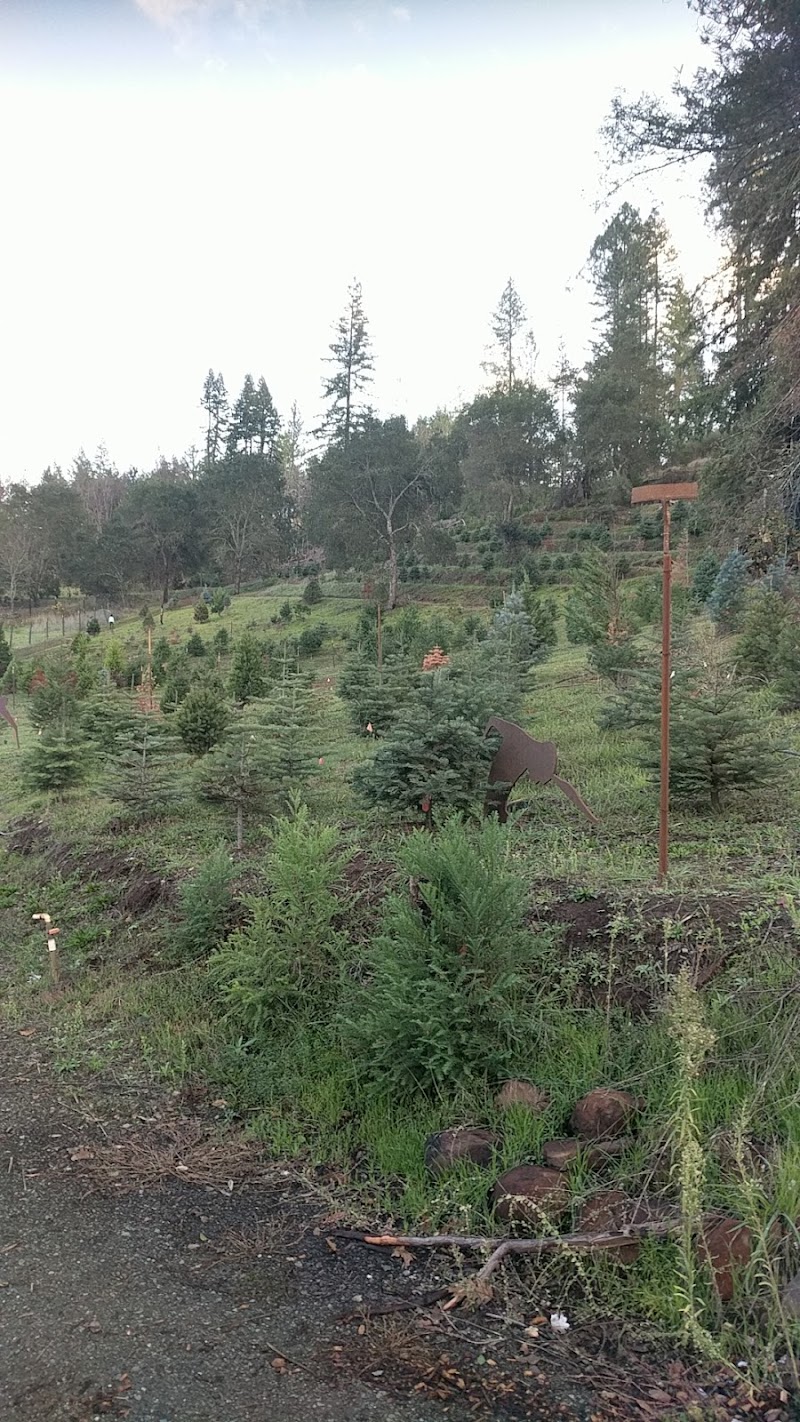 Pochini Family Farm photo 4