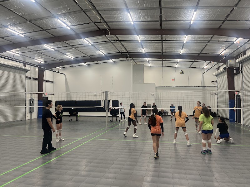 All-In Volleyball Academy photo 2