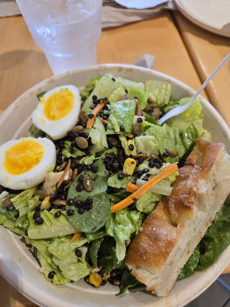 Just Salad photo 4
