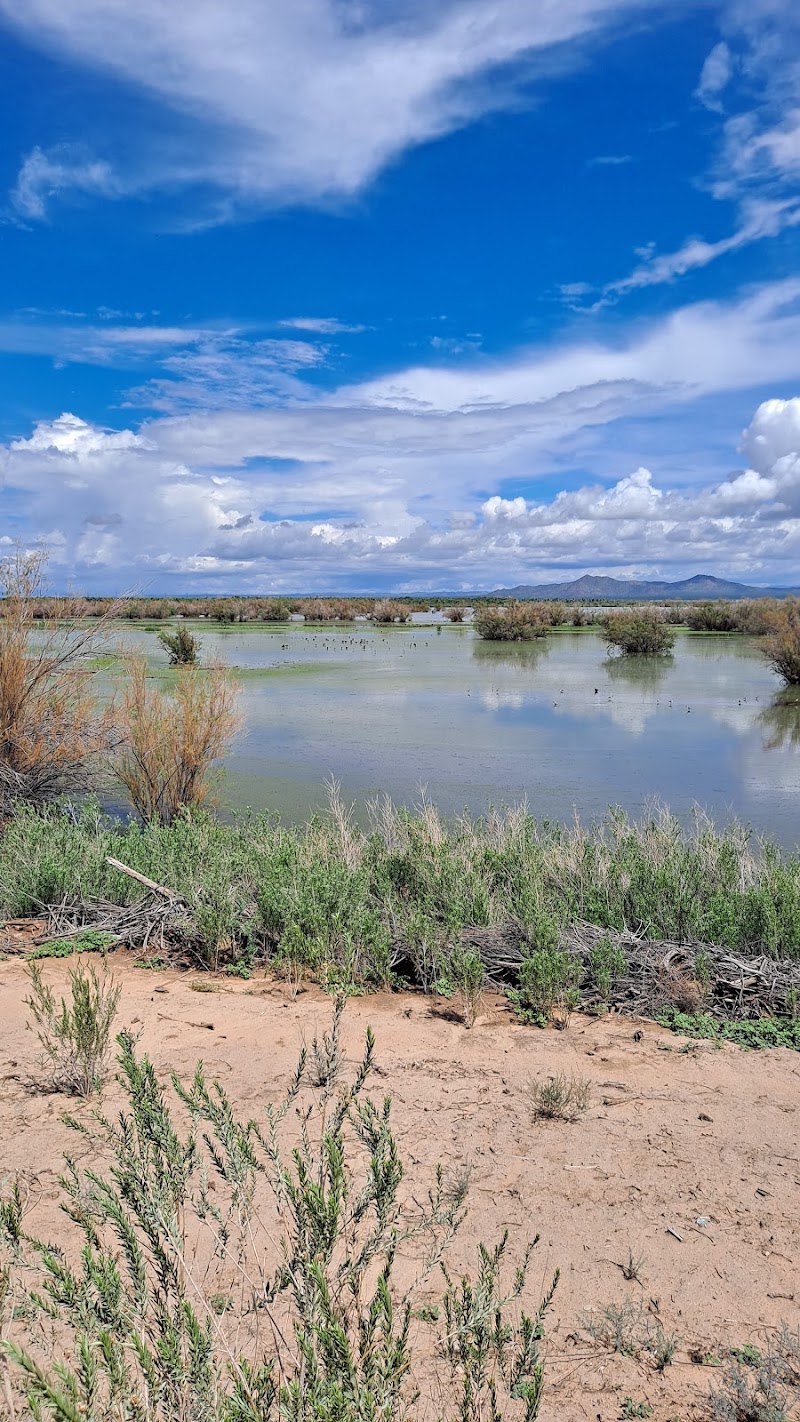 Picacho Reservoir photo 2
