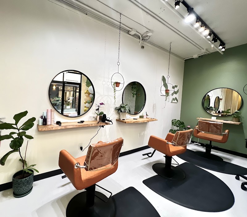August and Ivy salon photo 2