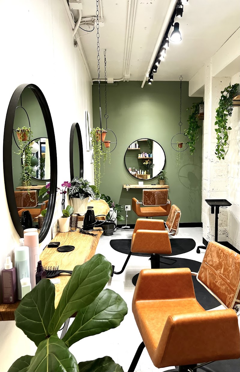August and Ivy salon photo 3