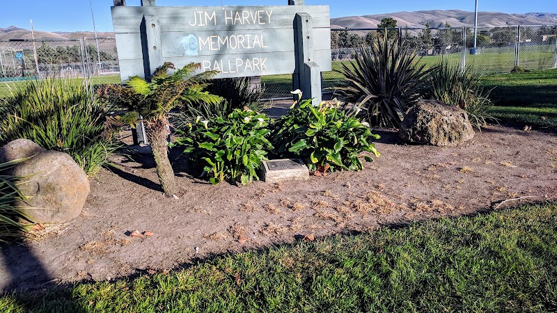Jim Harvey Memorial Ball Park photo 5
