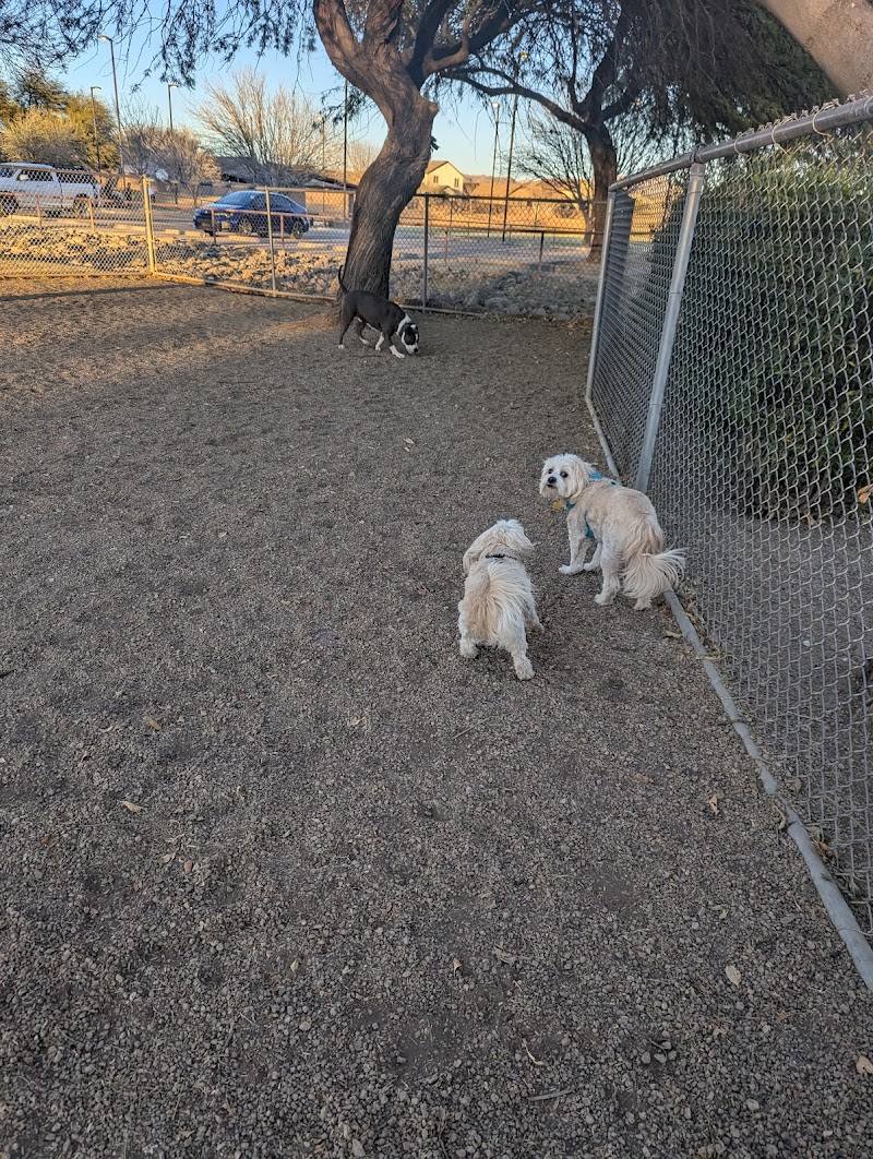 San Lucas Community Park - Dog Park photo 2