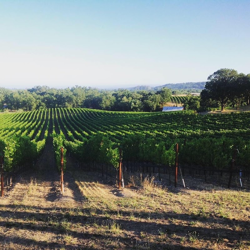 Domaine de la Rivière photo 5