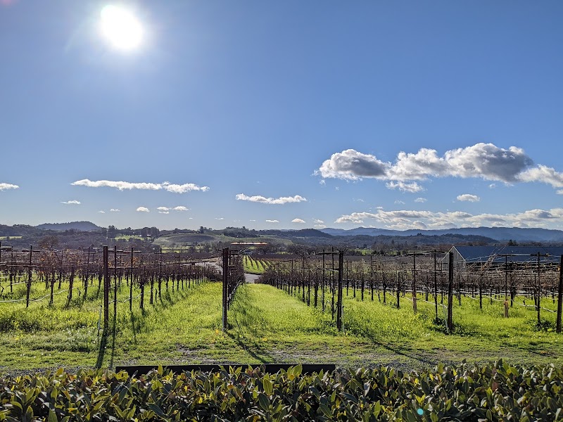 Silver Oak Cellars Alexander Valley photo 4
